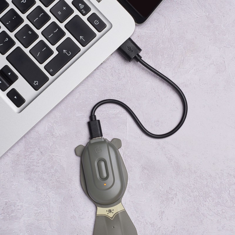 Flexilight Pals oplaadbaar - Pirate