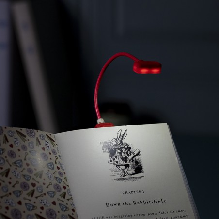 Book Lover's Reading Light - Alice Starter (6 stuks)
