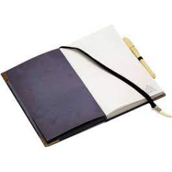 Harry Potter - Tom Riddle Diary