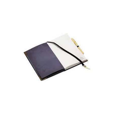 Harry Potter - Tom Riddle Diary