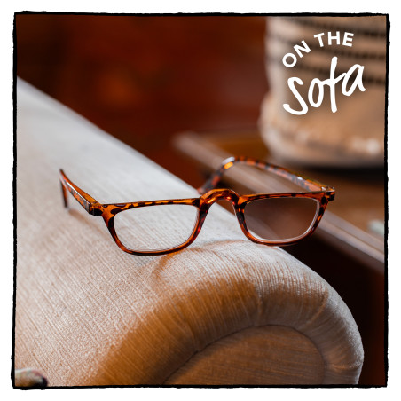 Easy Readers - Spare Pair Reading Glasses (+2.5) (set van 3)