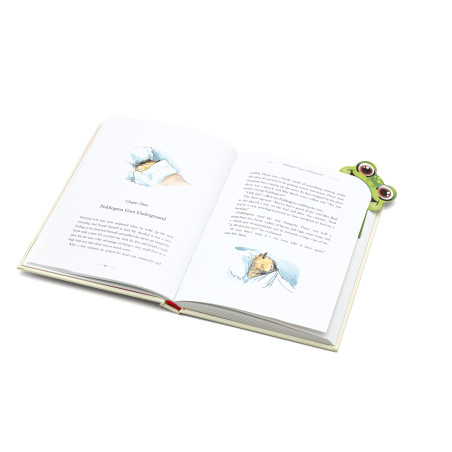 Bigmouth Bookmark - Frog