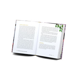 Easymark Bookmark - Cactus