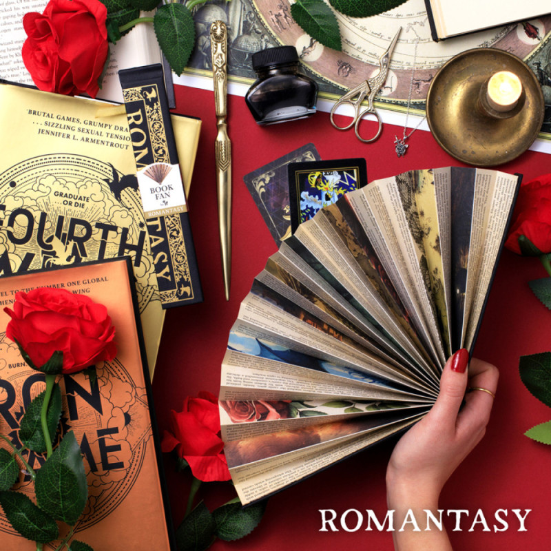 Display | Book Fans (24 stuks)