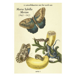 Muldershouse|Merian - 1