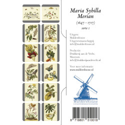 Muldershouse|Merian - 1