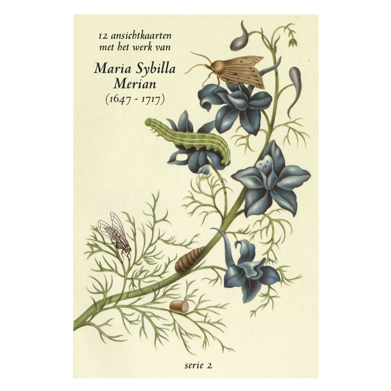 Muldershouse|Merian - 2