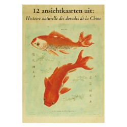 Muldershouse|Histoire...