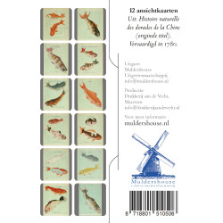 Muldershouse|Histoire naturelle des dorades de la Chine