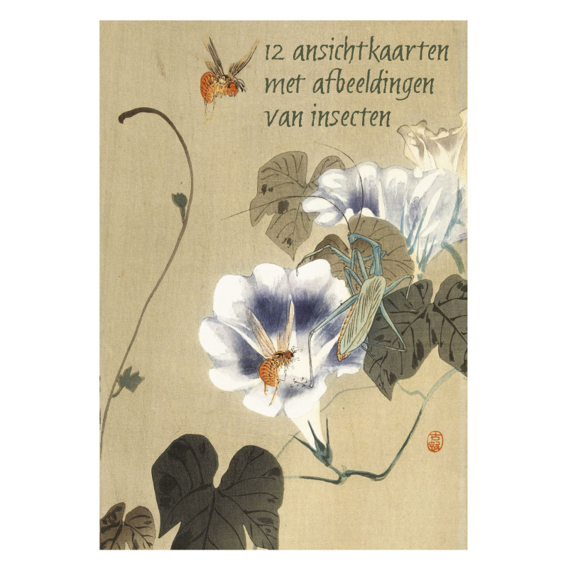 Muldershouse|Insecten