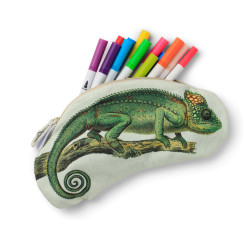 Eclectionery Pencil Case - Chameleon