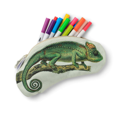 Eclectionery Pencil Case - Chameleon