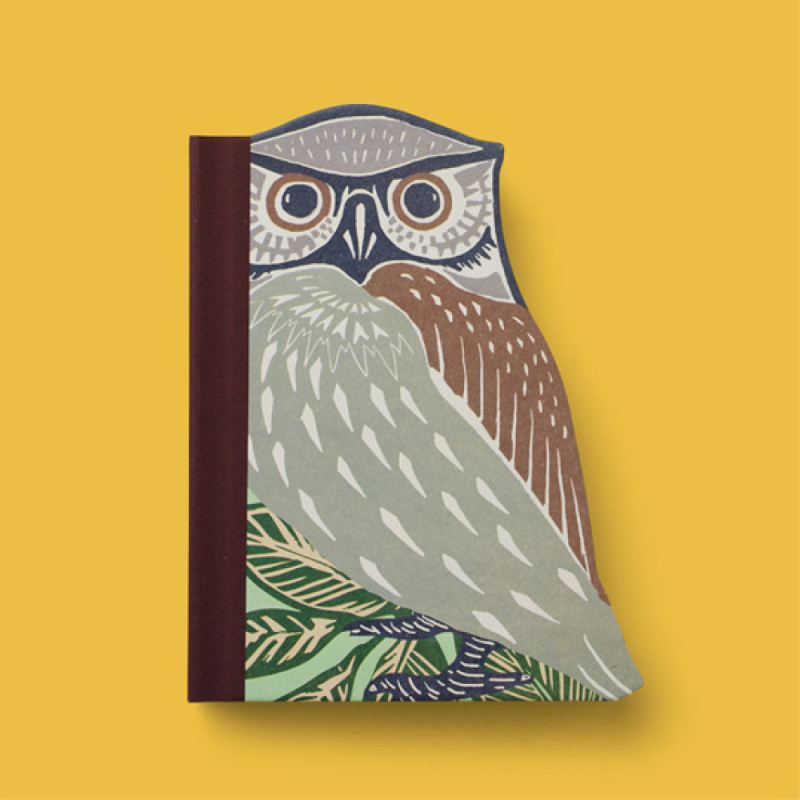 Eclectionery Notable Books - Owl