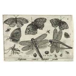 Muldershouse | Insecten