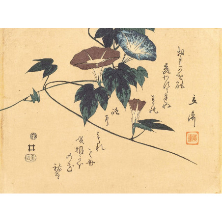 Muldershouse | Hiroshige - 3