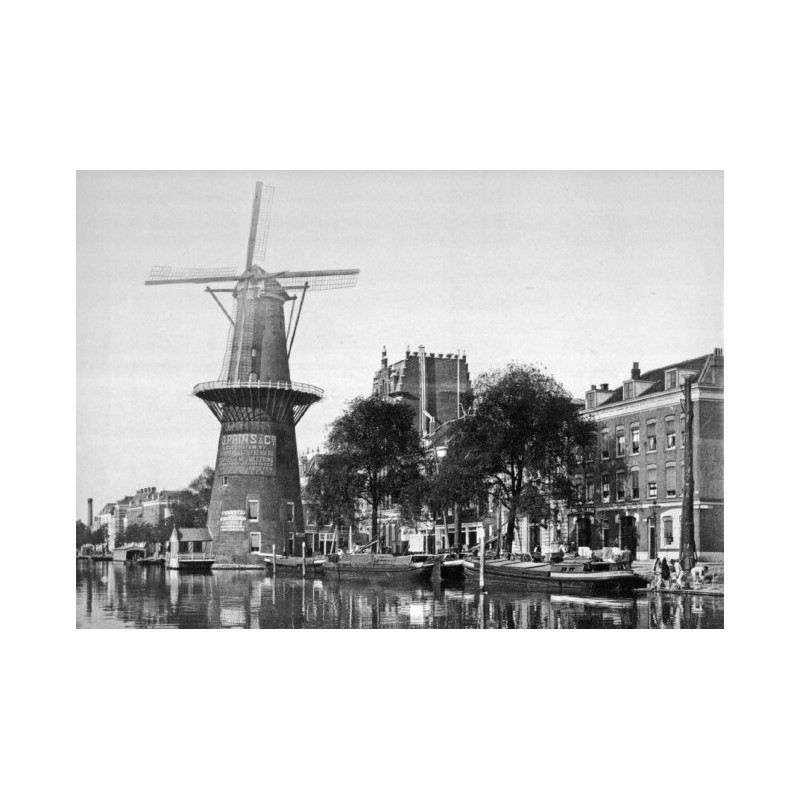 Muldershouse | Rotterdam - 3