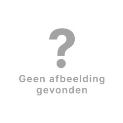 Eclectionery Notable Books...